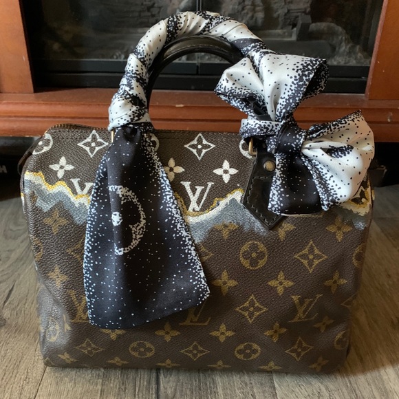 Louis Vuitton Handbags - Painted Speedy 25